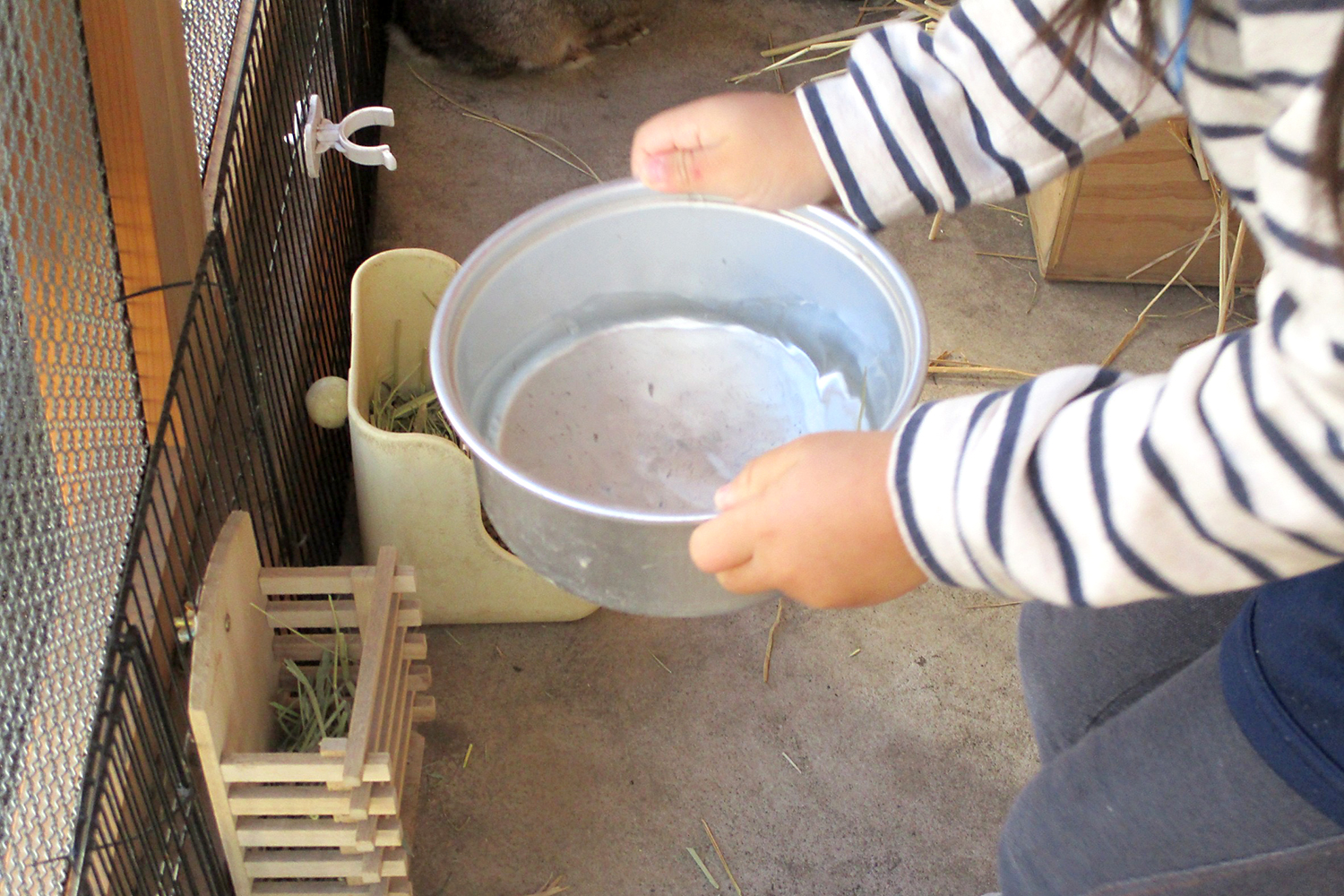 お水の取り替えの写真