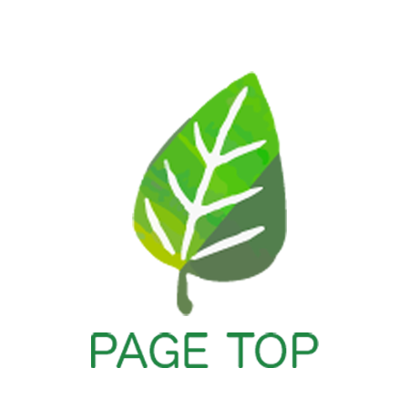 PAGE TOP